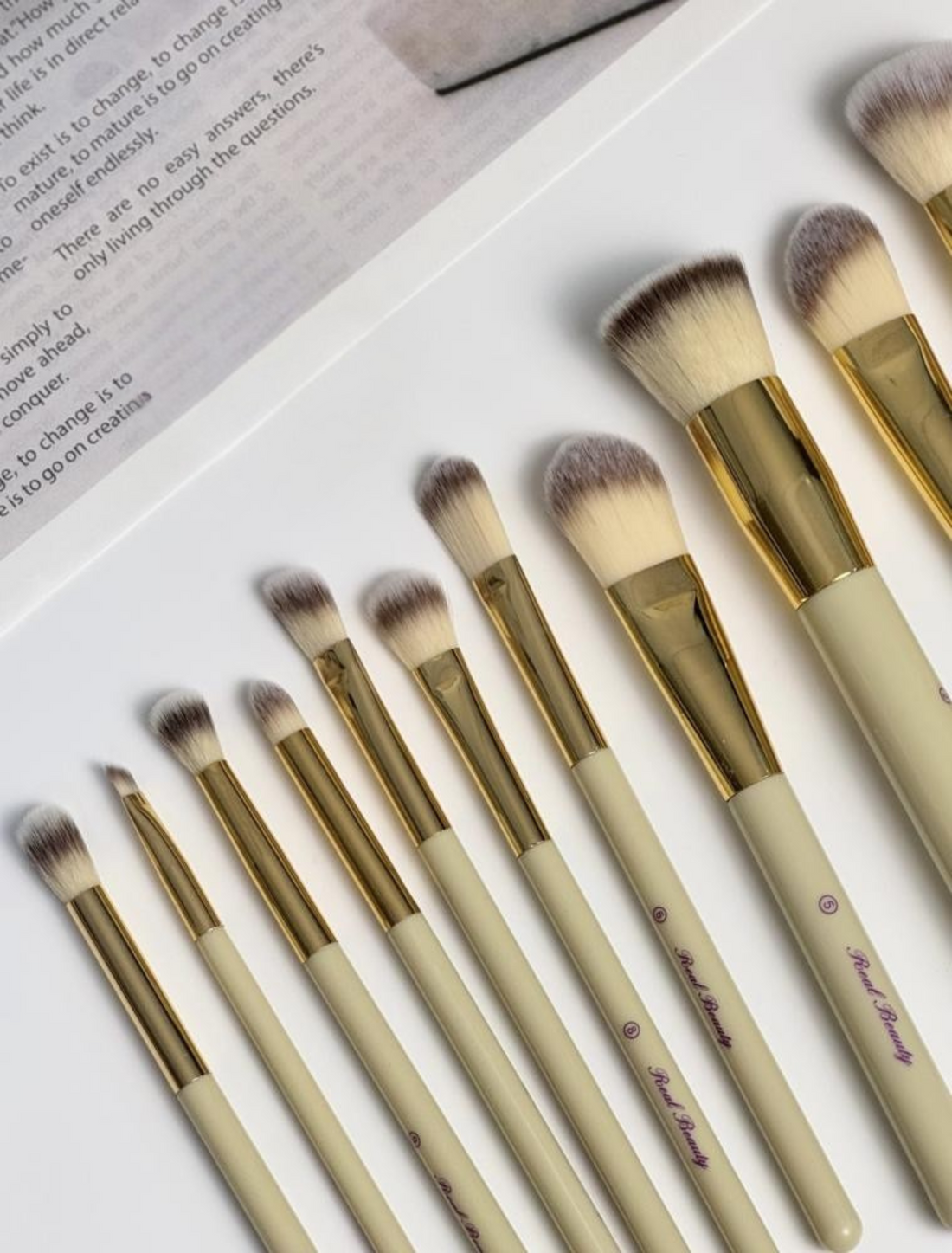 Luxury 12-piece Soft Makeup Brushes+CASE